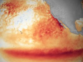 El Niño pode ficar muito forte e amplia extremos climáticos no Brasil