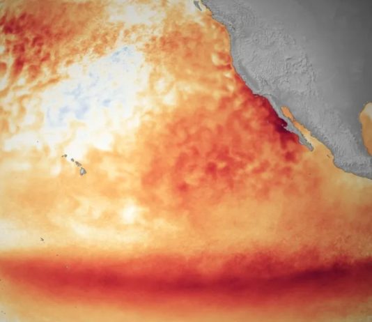 El Niño pode ficar muito forte e amplia extremos climáticos no Brasil