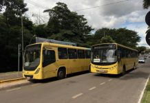 Sorriso mantém transporte coletivo gratuito neste domingo de eleição