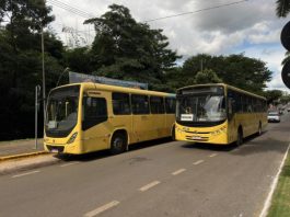Sorriso mantém transporte coletivo gratuito neste domingo de eleição