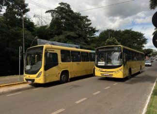 Sorriso mantém transporte coletivo gratuito neste domingo de eleição