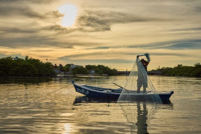 pescadores